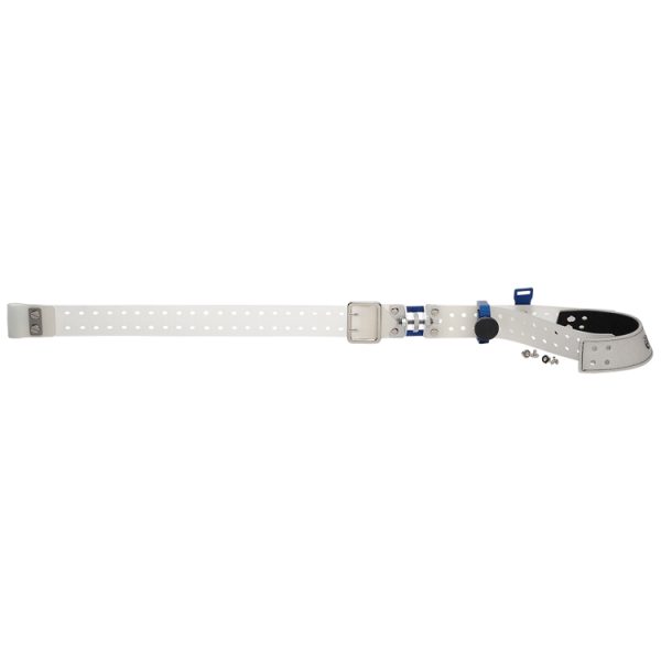 Sauer - Slings Exact IV