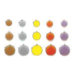 Champion Filtering Clip 42mm